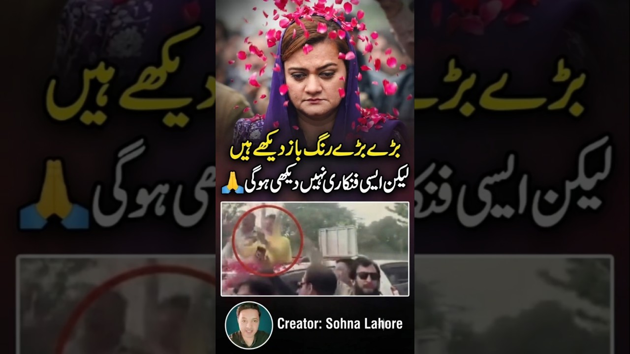 مریم اورنگزیب کی فنکاری 🙏 #pti