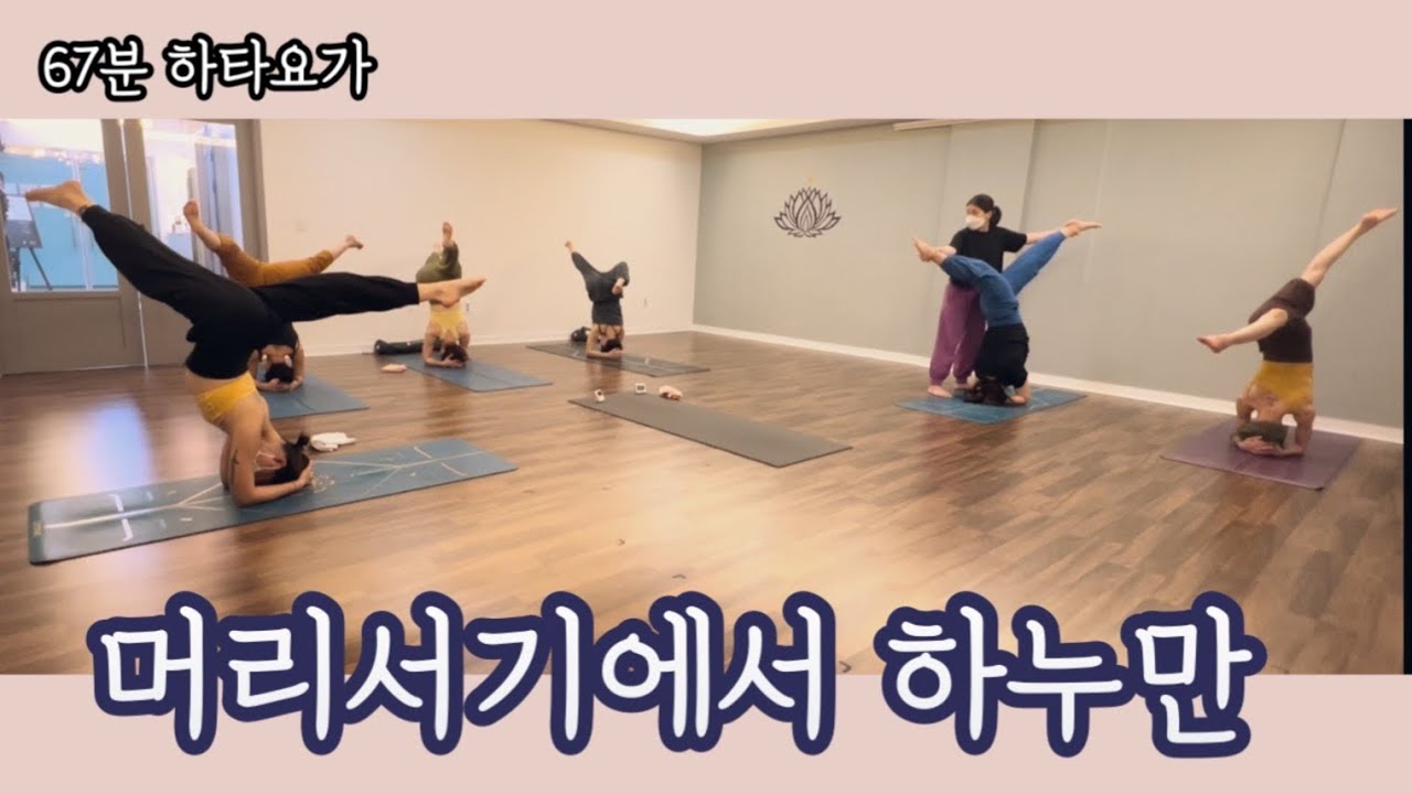 [엔젤요가] 관절을 튼튼하게 유연하게 | 파드마 | 하누만 | 접고펴고 | 좌법에서 도립에서