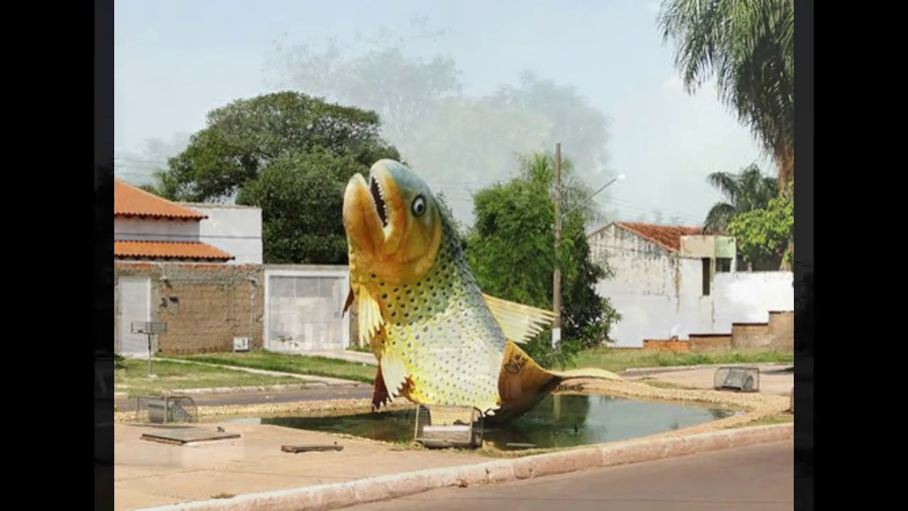 Conhecendo o Brasil, Lad&aacute;rio, Mato Grosso do Sul.