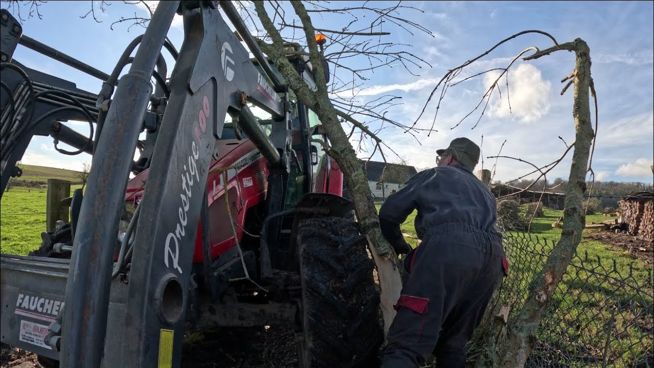 ABATTAGE d'arbres, ACCIDENT!!!