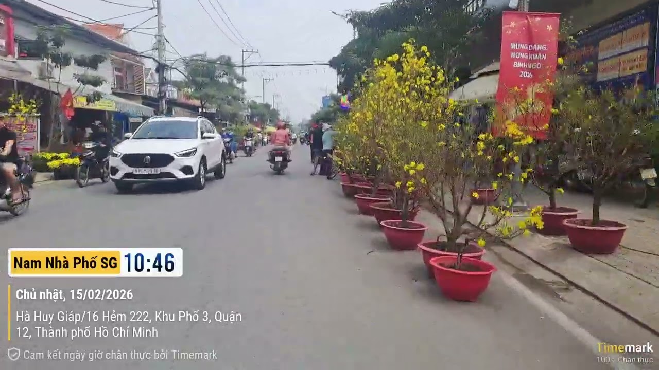 28 TẾT - CHỢ HOA ĐƯỜNG THẠNH LỘC 19 AN PHÚ ĐÔNG , TP.HCM