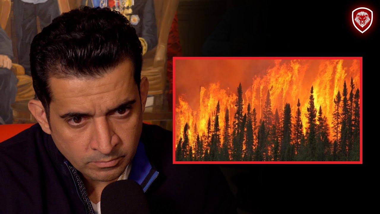 Why Wild Fires Keep Happening Every Year