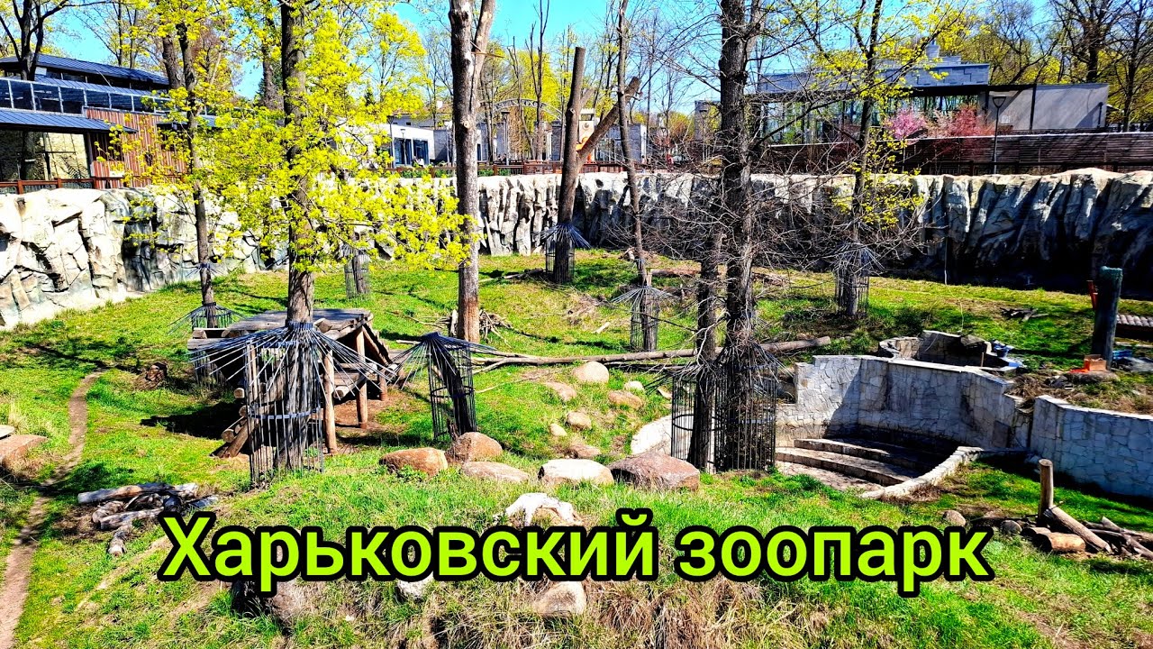 А где же животные? Из зимней спячки в летнюю спячку? 18.04.2025.