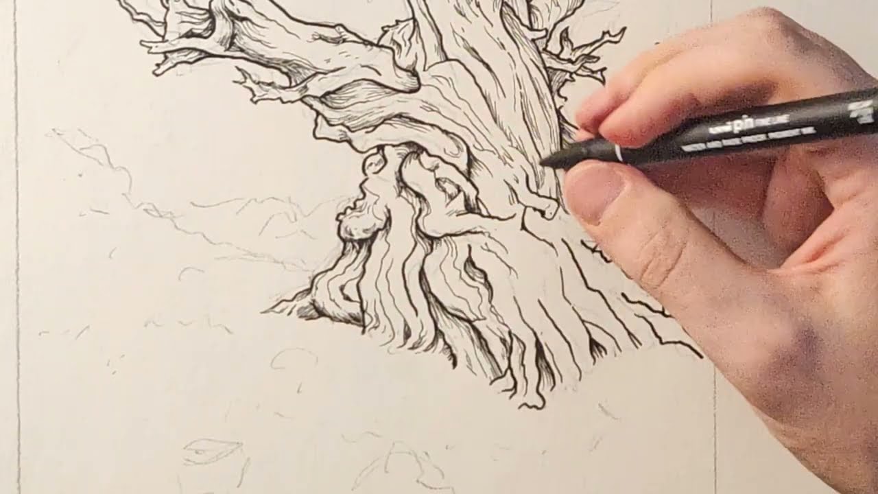 Drawing the Oldest Tree | Calming Ink Illustration with Classical Piano