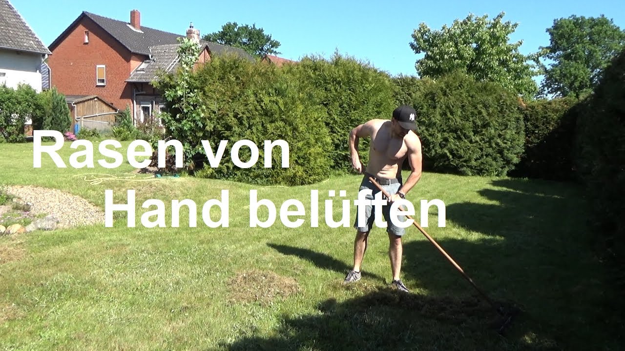 Rasen bel&uuml;ften Rasenrechen Rasen von Hand bel&uuml;ften Moos und Filz im Rasen entfernen