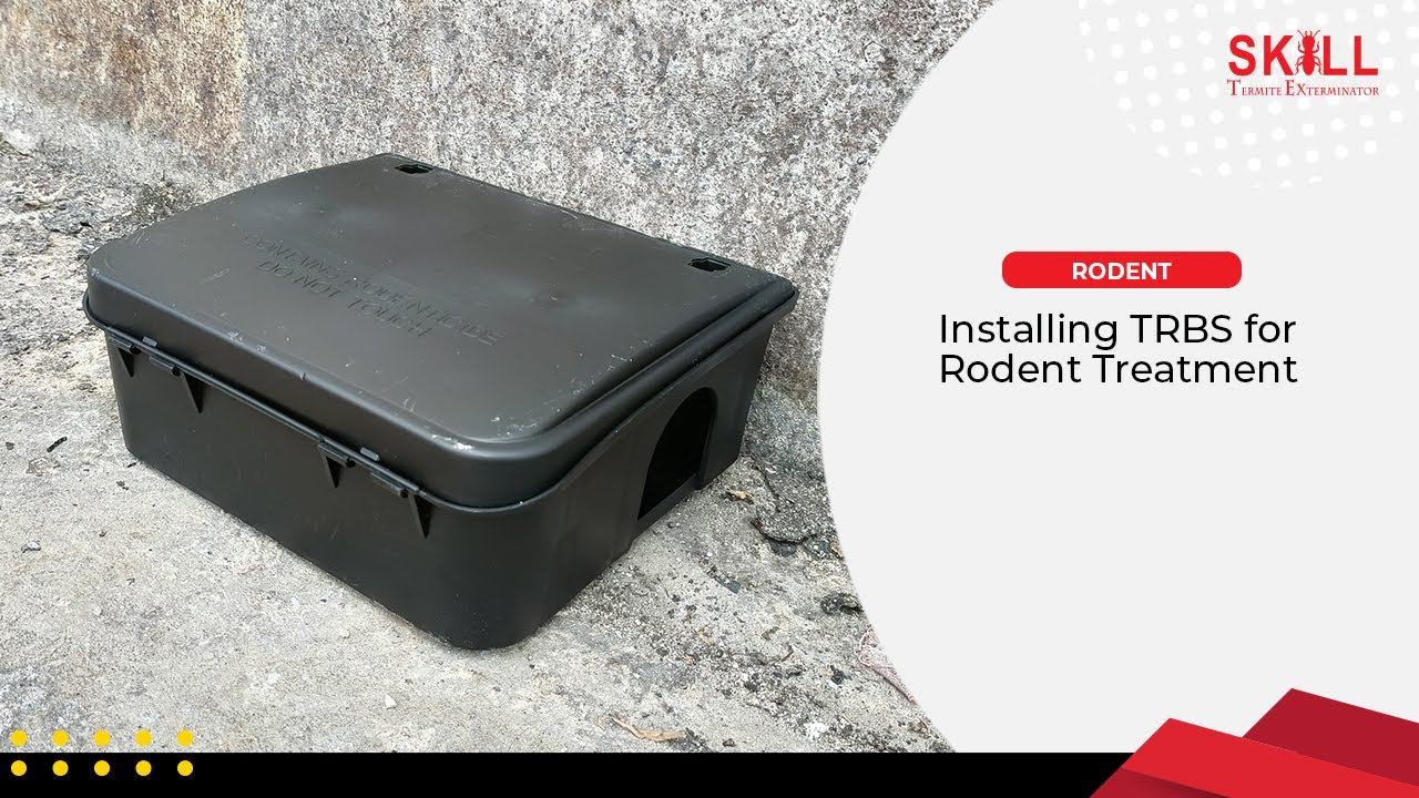 Installing TRBS for Rodent Treatment 🐁🐀