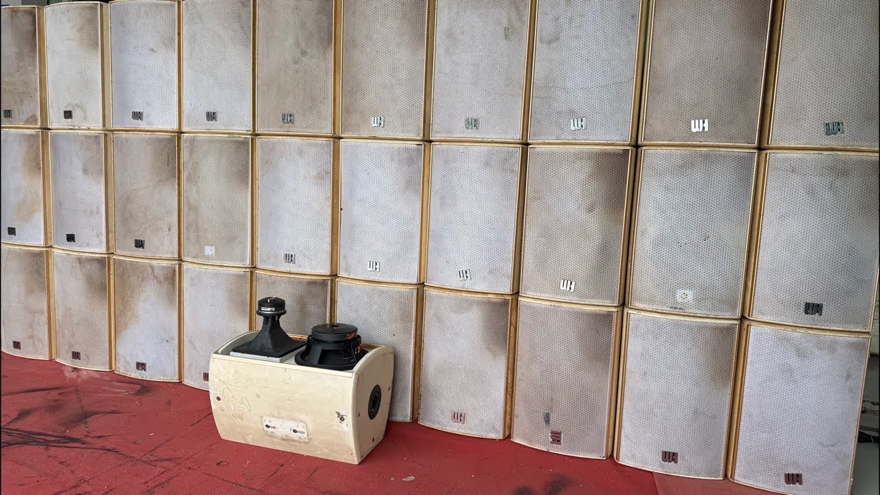 Siêu Phẩm cuối năm Loa CAF Cá Heo 🐬 bass 25Cm đây các bác ơi, CAF - CC10 bản cao cấp cực hay..!
