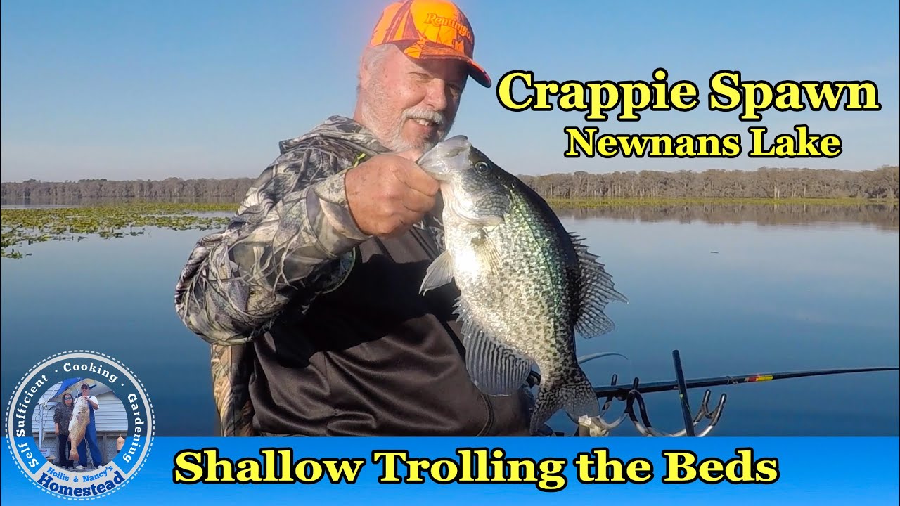 Winter Crappie Spawn Shallow Trolling