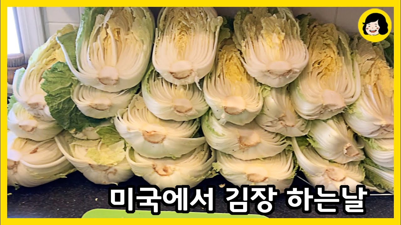 배추 10포기 무채 없이 쉽게 쉽게 김장 김치 만들기 - 큰 다라이 없이 배추 절이는 방법