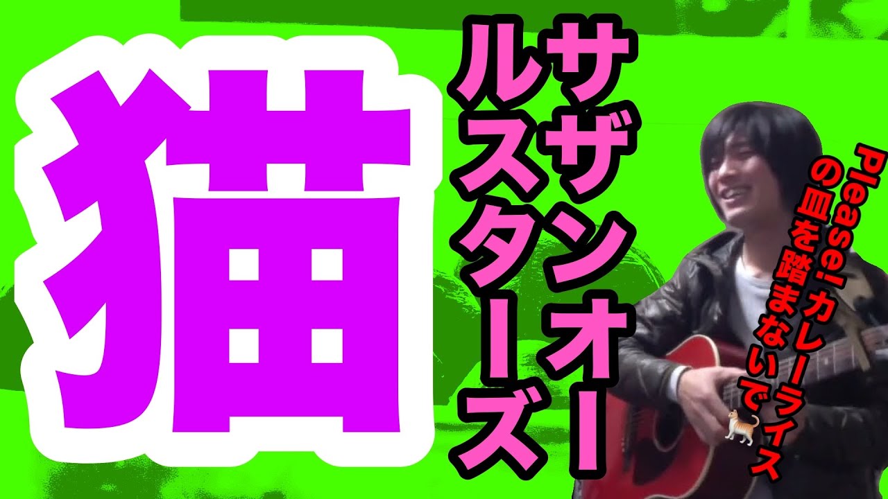 猫（サザンオールスターズの曲）個性のダシで煮込む率直な感慨の寄せ鍋【ギター弾き語り・寸評つき】