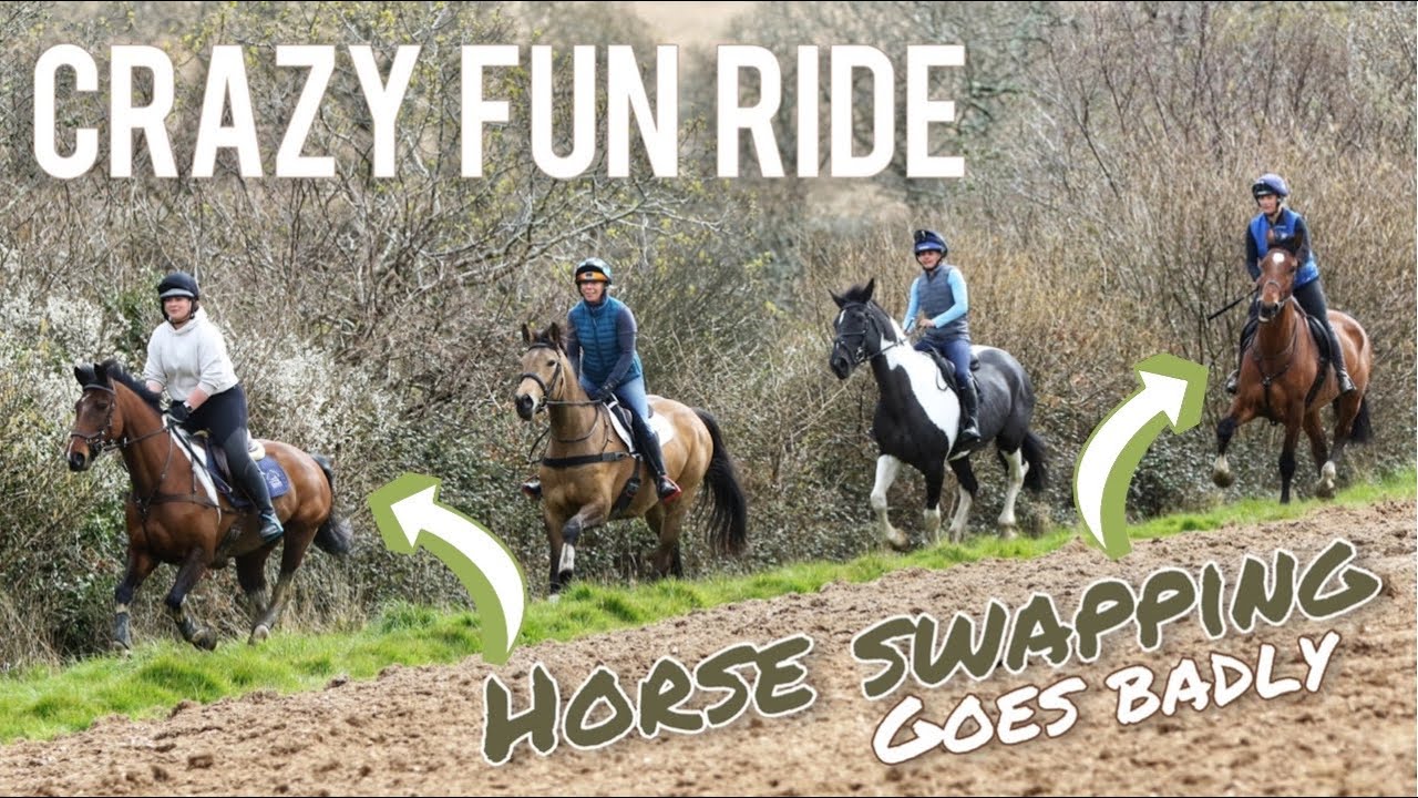 CRAZY FUN RIDE | Horse Swapping Goes Badly | Who Falls Off!!