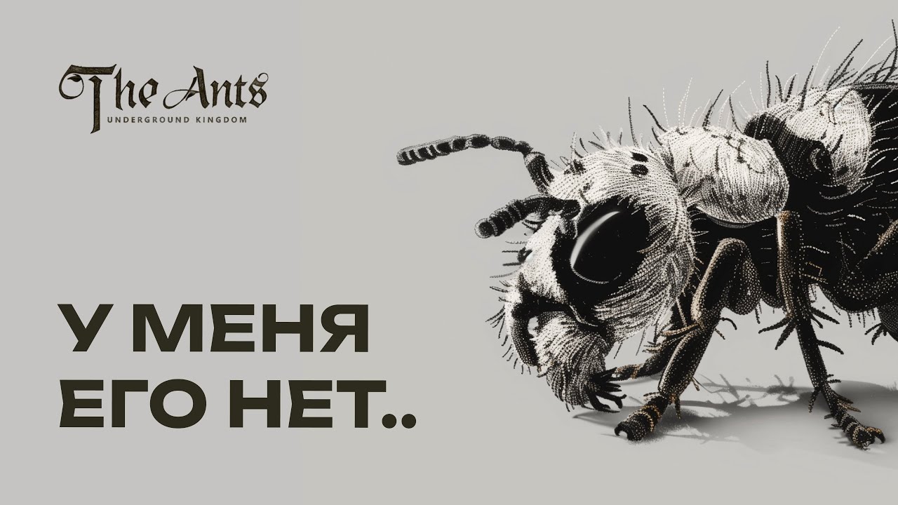 У меня его нет, а у тебя? ПАНДА-МУРАВЕЙ, полный обзор