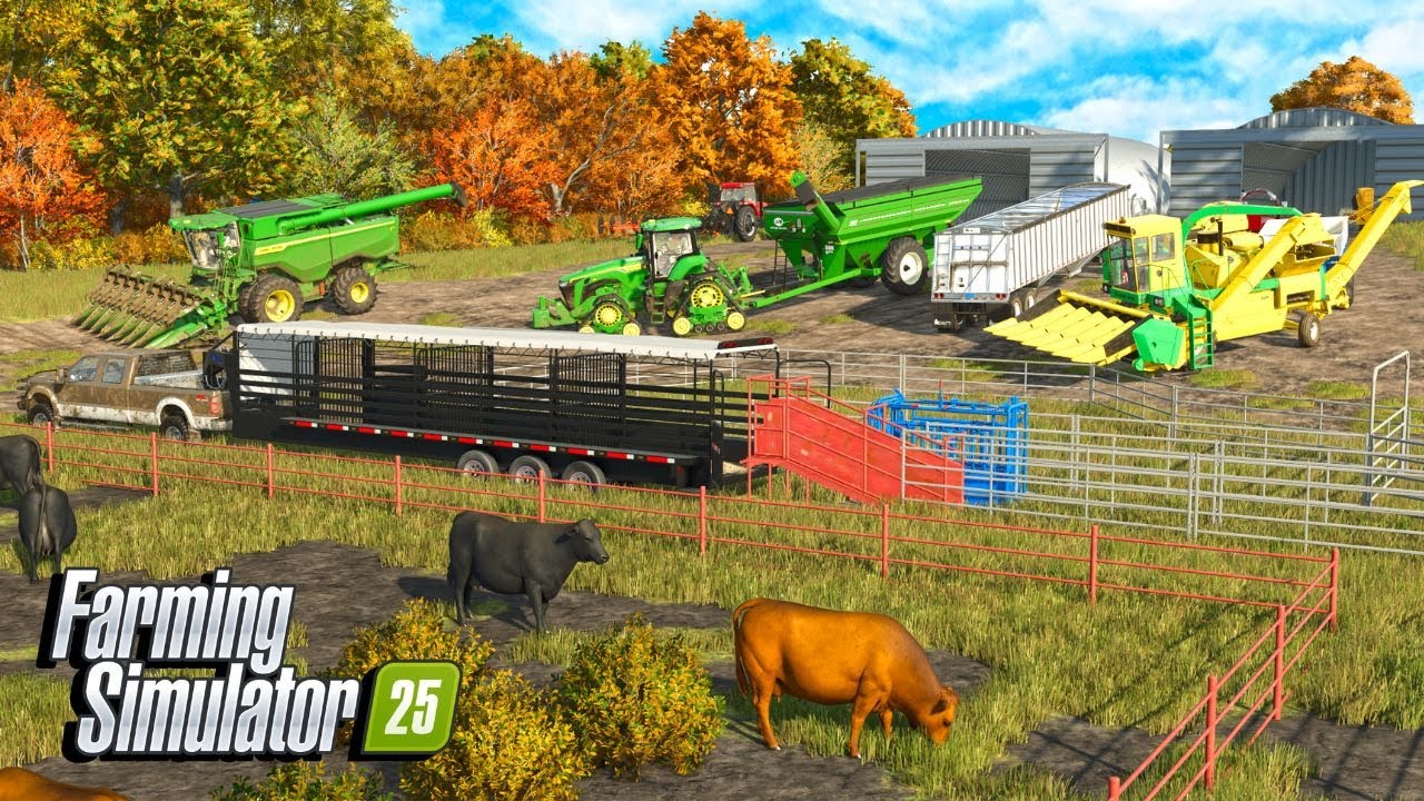 I Sell My Beef Cattle And Start Corn Harvest? | Farming Simulator 25