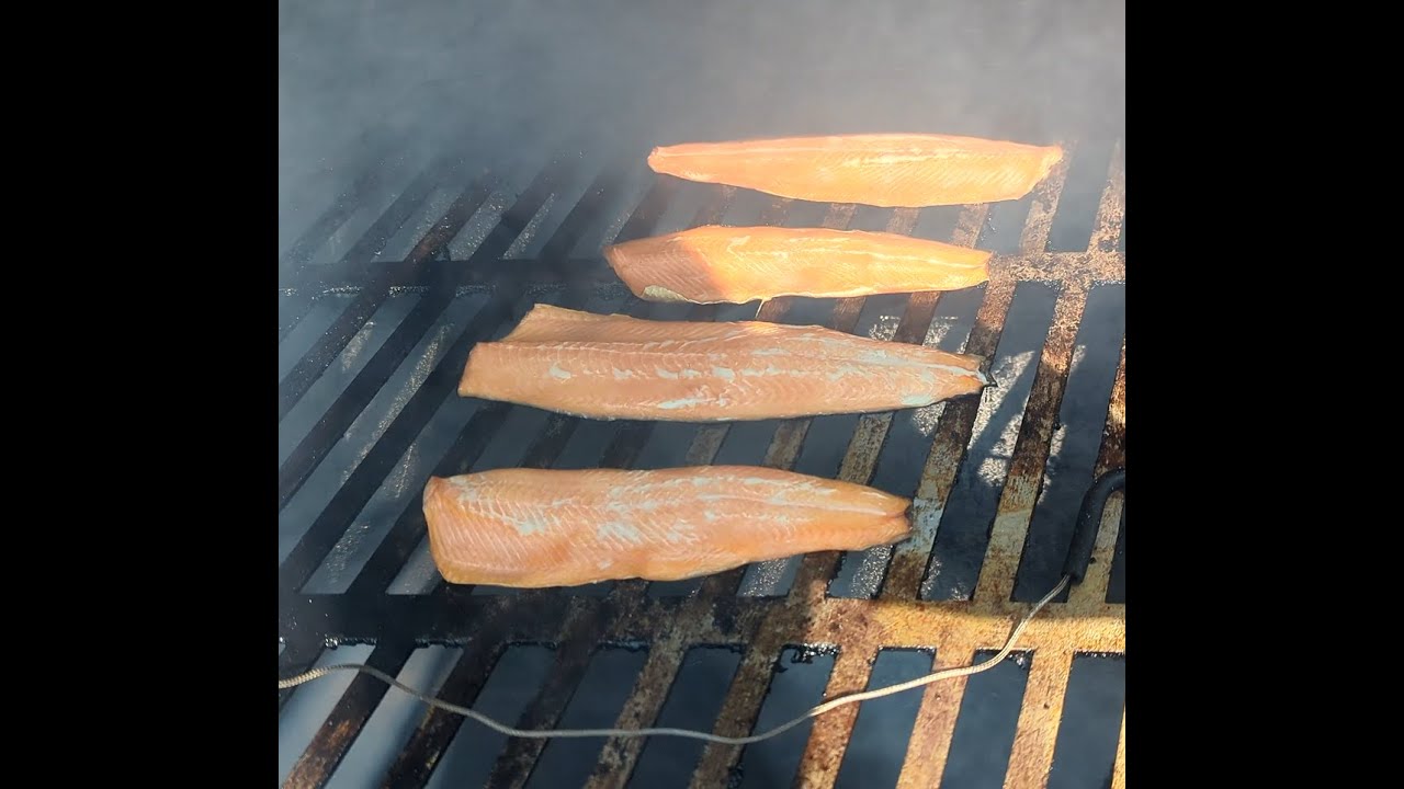 Smoked Trout on the SmokeNorth Offset!!!!!