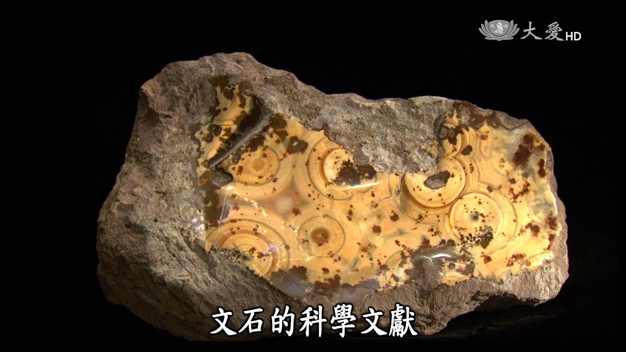 【紀錄新發現】20151212 - 石中慧眼 - 台灣文石