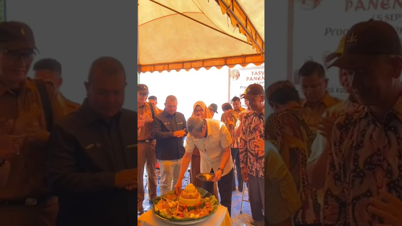 Petani Mitra PTPN V Rokan Hilir Semringah Panen Perdana