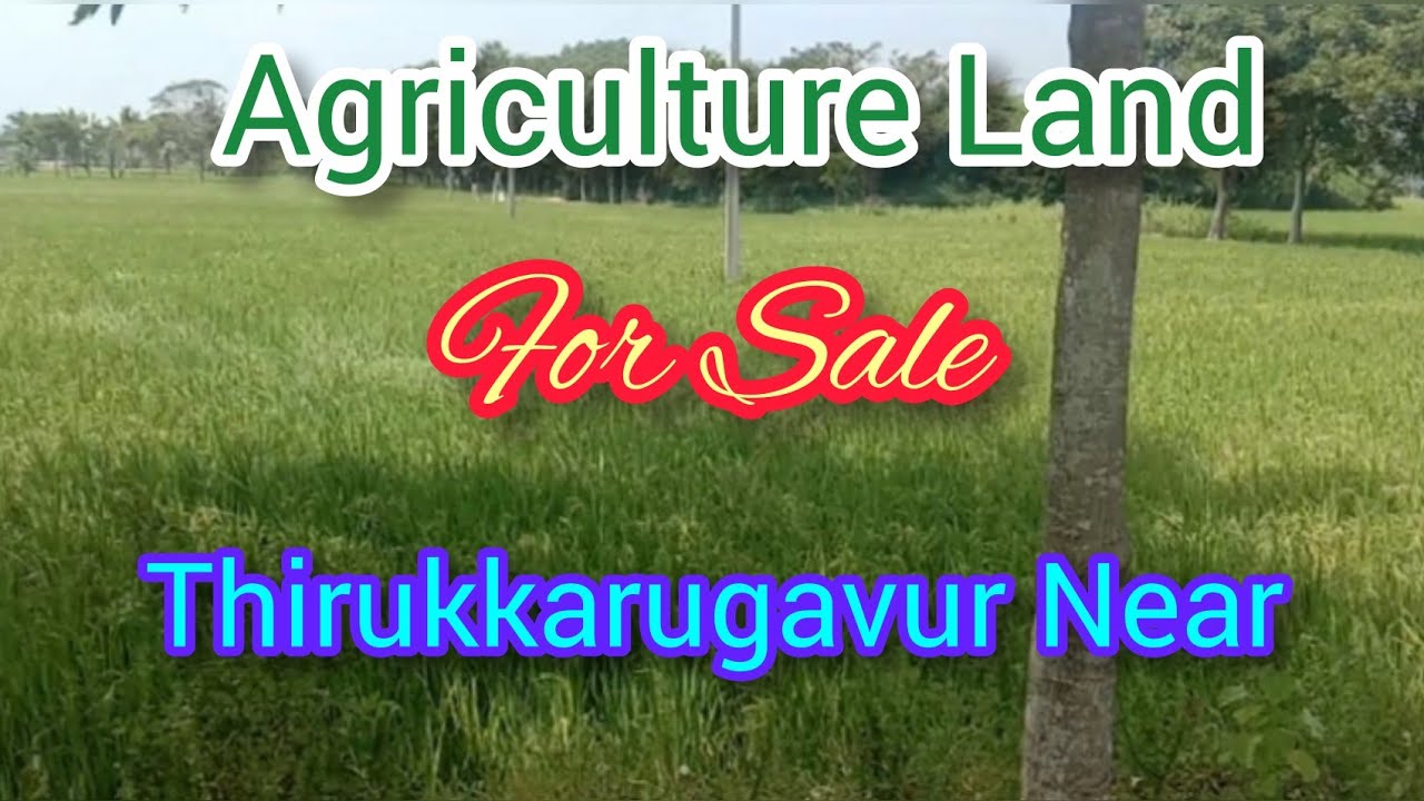 Agriculture Land Sale In Thirukkarugavur Near Poondi Village