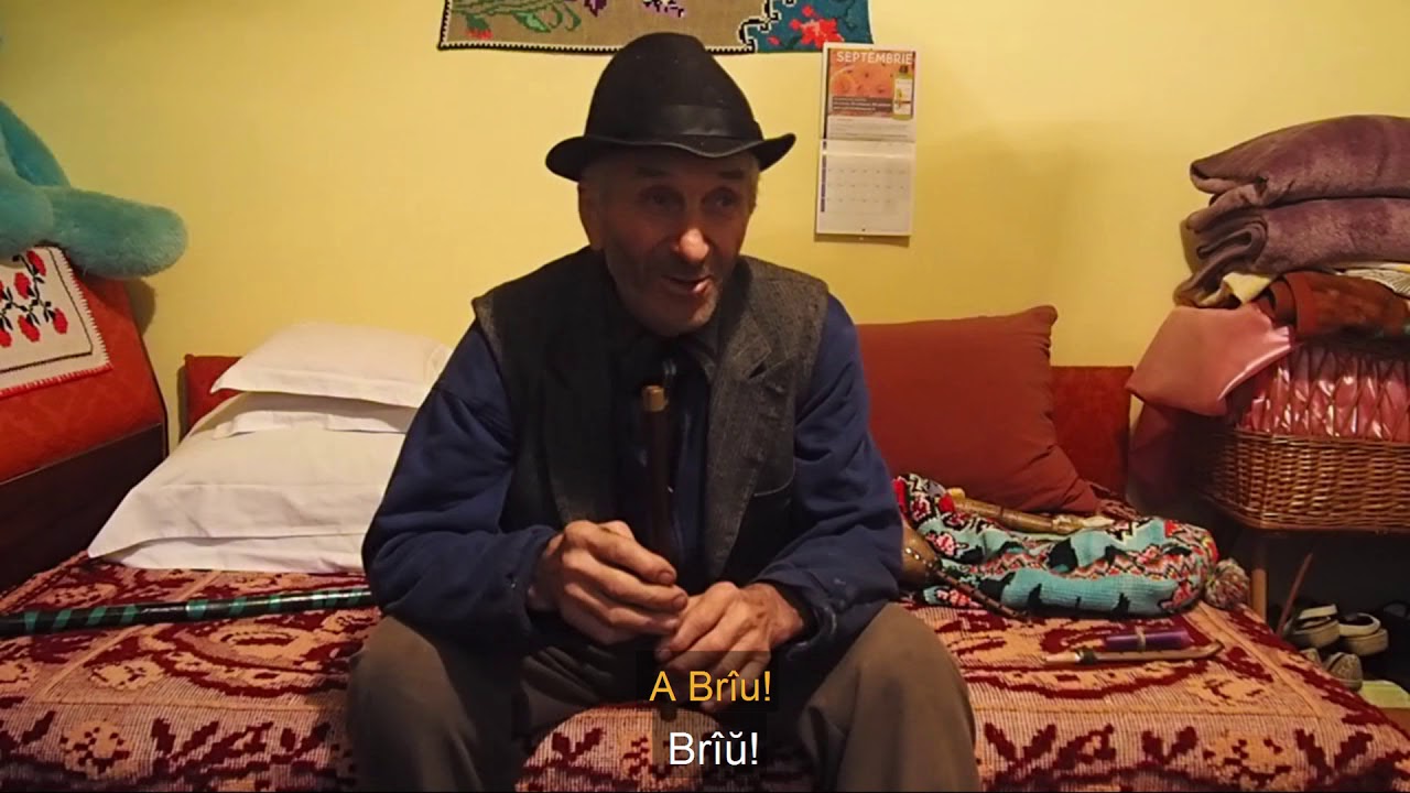 Hora and Br&acirc;u - Moldavian Romanian Collection - VLACH