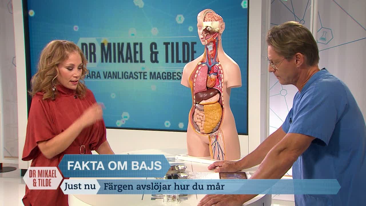 Så tolkas avföringen - Dr Mikael ger fakta om bajs - Dr Mikael & Tilde (Sjuan)