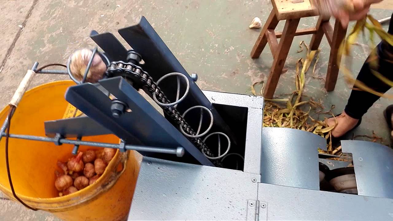 Garlic root and stem cutter Machine
