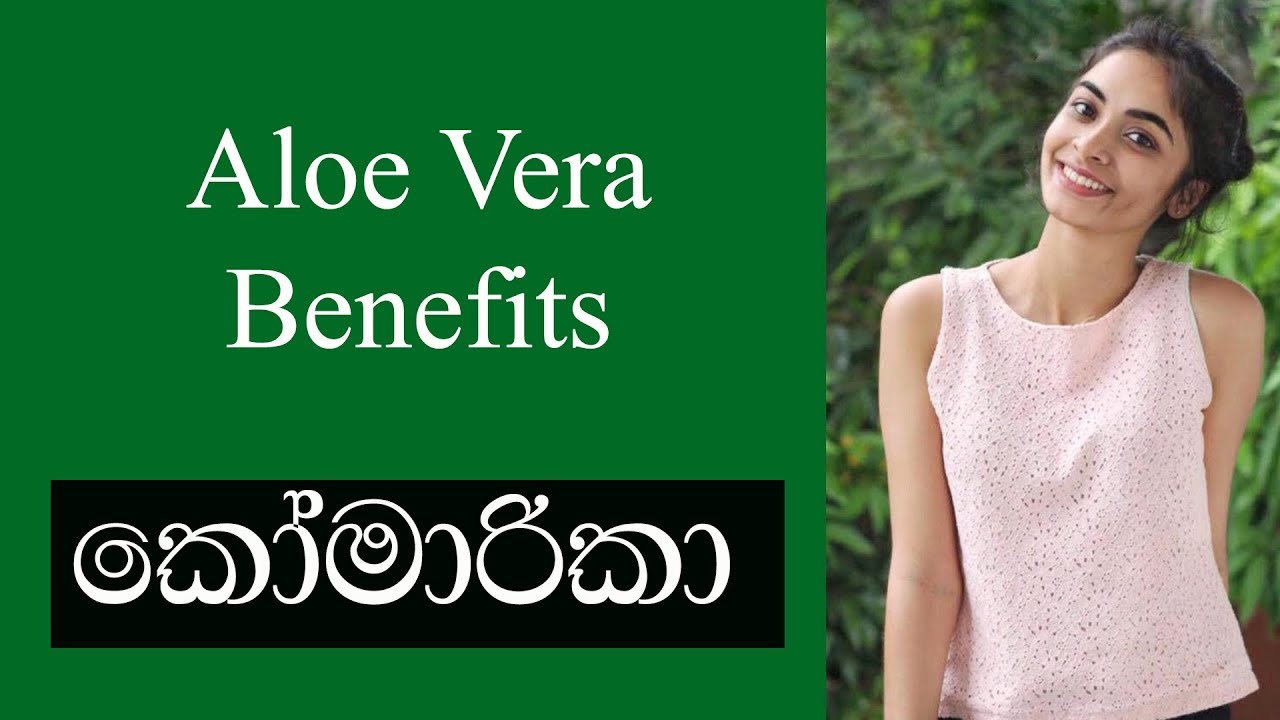 🇱🇰 Surprising benefits of Aloe Vera | CHE JAY