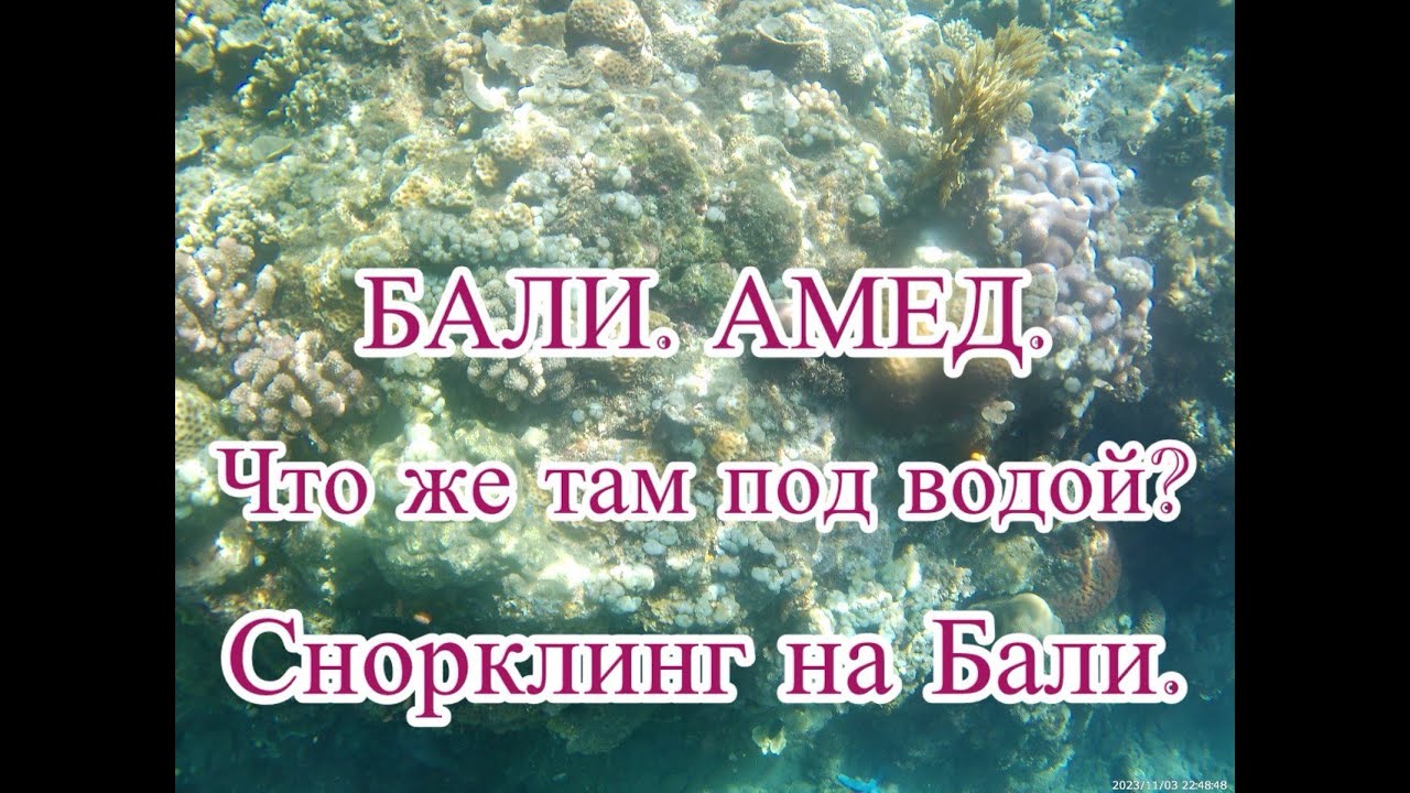 Экскурсия со снорклингом на Бали. Амед