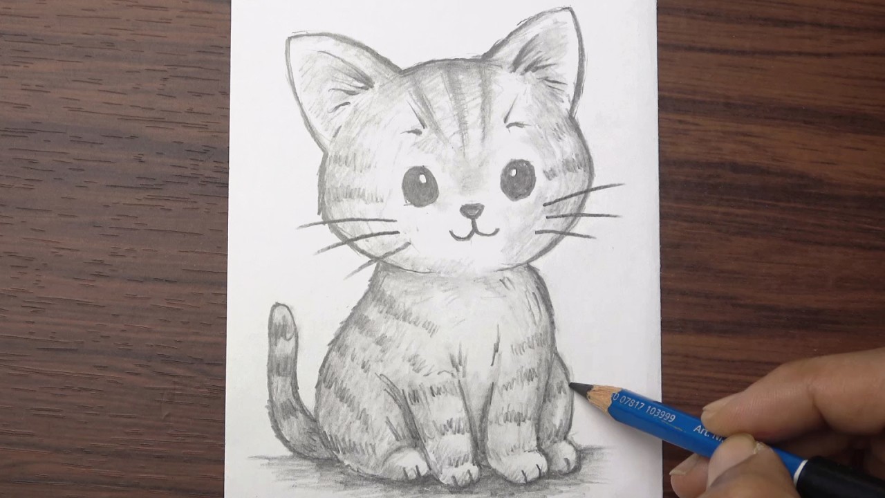 How to draw a cute Cat step by step | Pencil sketch for beginners