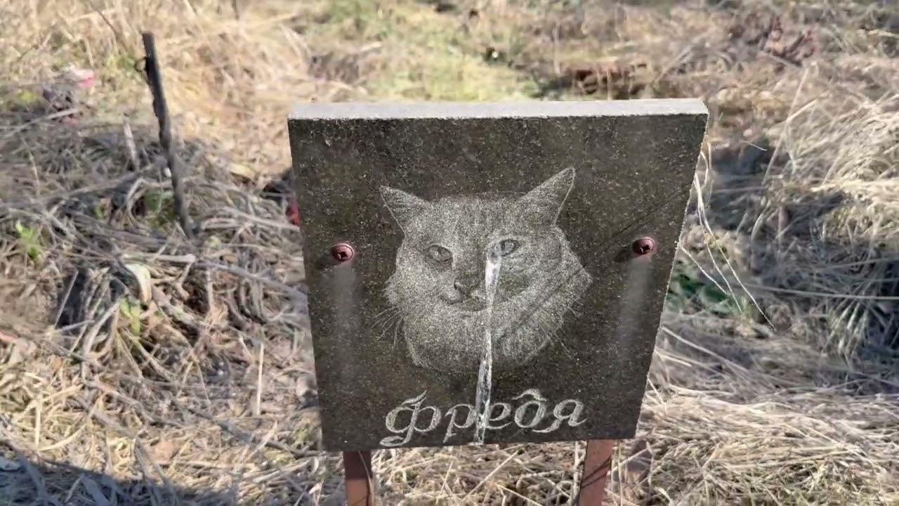 Собаче кладовище
