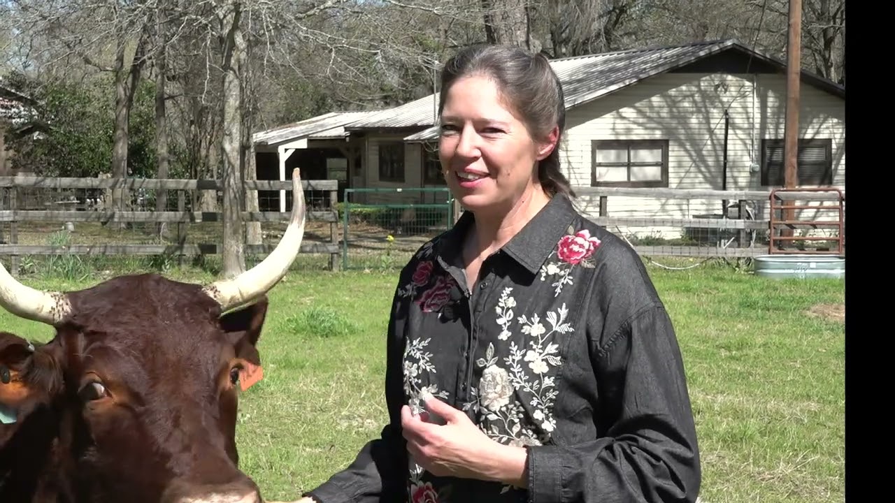 AMERICAN MILKING DEVON