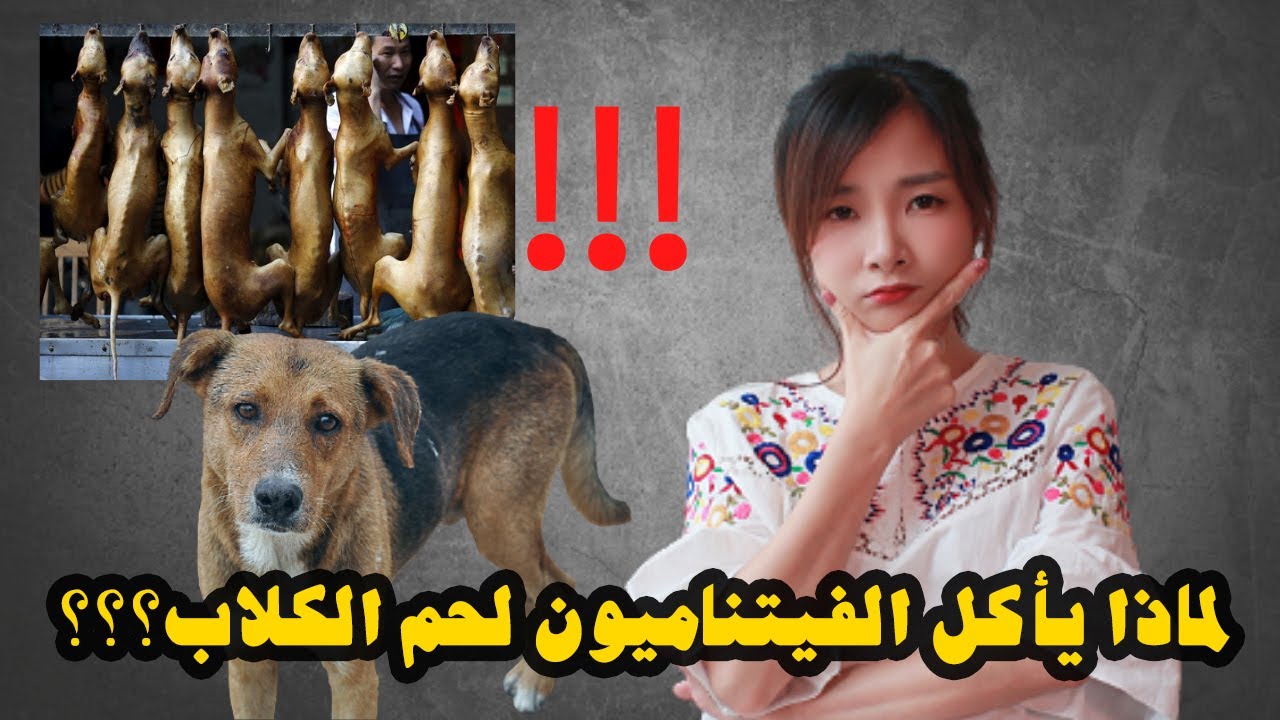 لماذا يأكل الفيتناميون لحم الكلاب؟ || WHY VIETNAMESE EAT DOGS?