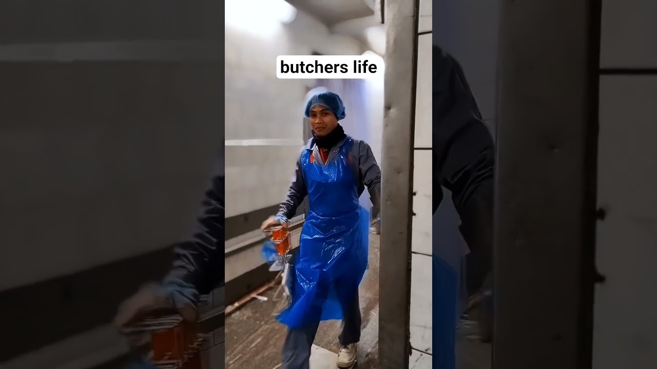 Butchers life