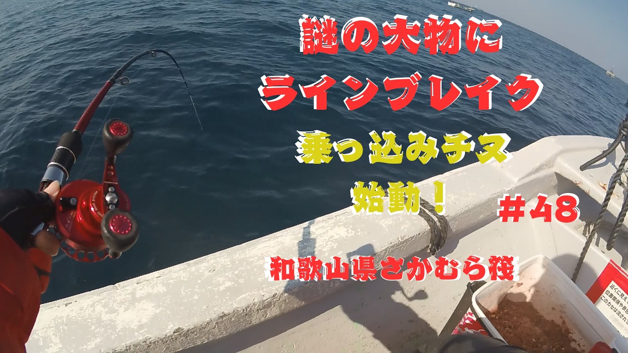 【チヌかかり釣り】根がかり？と、思った次の瞬間、2.5号がブチ切れた・・・謎の大物正体は？？和歌山県さかむら筏#かかり釣り#謎の大物#乗っ込みチヌ#チヌ釣り