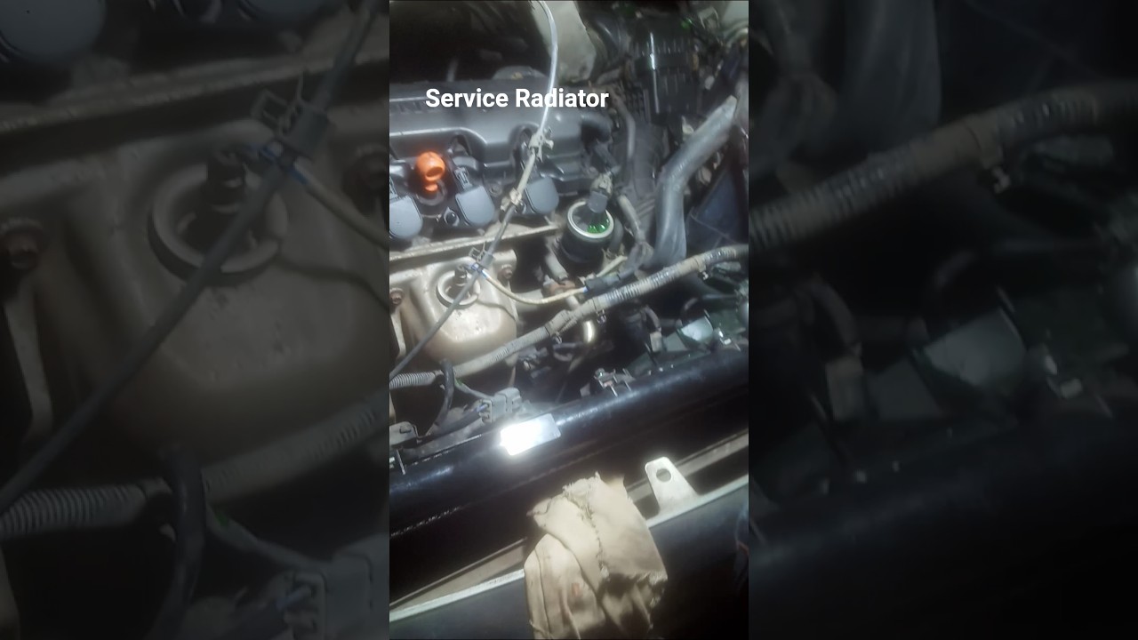 Service Radiator