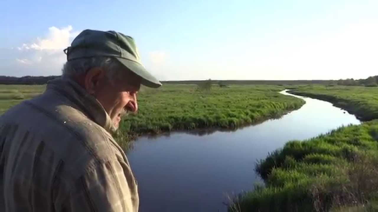 Kaniuki - Ciopły Kraj