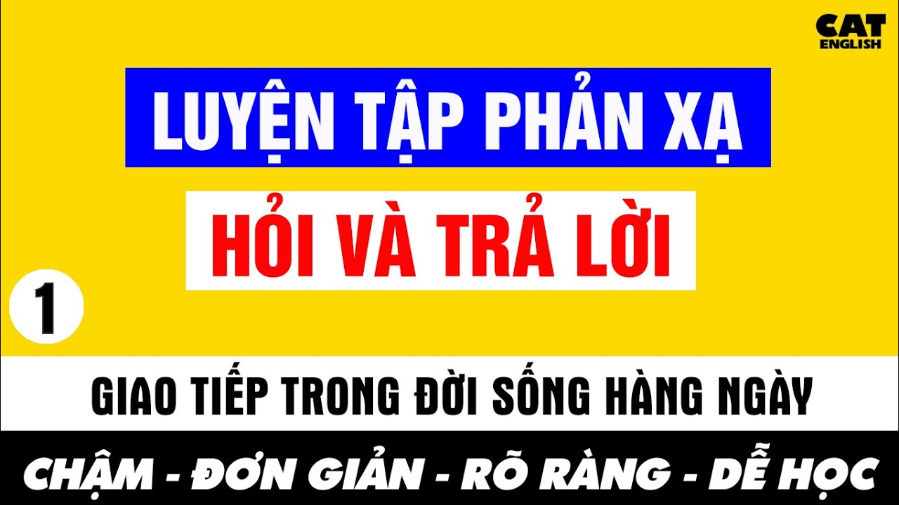 Luyện Tập Phản Xạ – Hỏi và Trả Lời | Giao Tiếp Tiếng Anh Cơ Bản