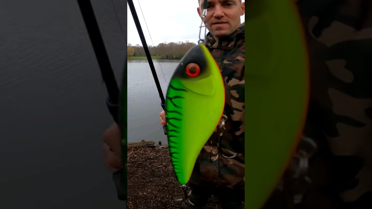 Westin swim 12cm suspended version #shorts #fishing