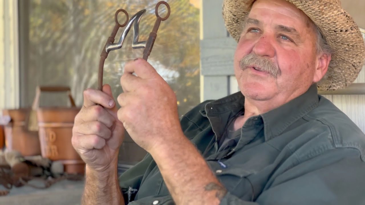 Larry Surrett's Online Horse Training Video Library
