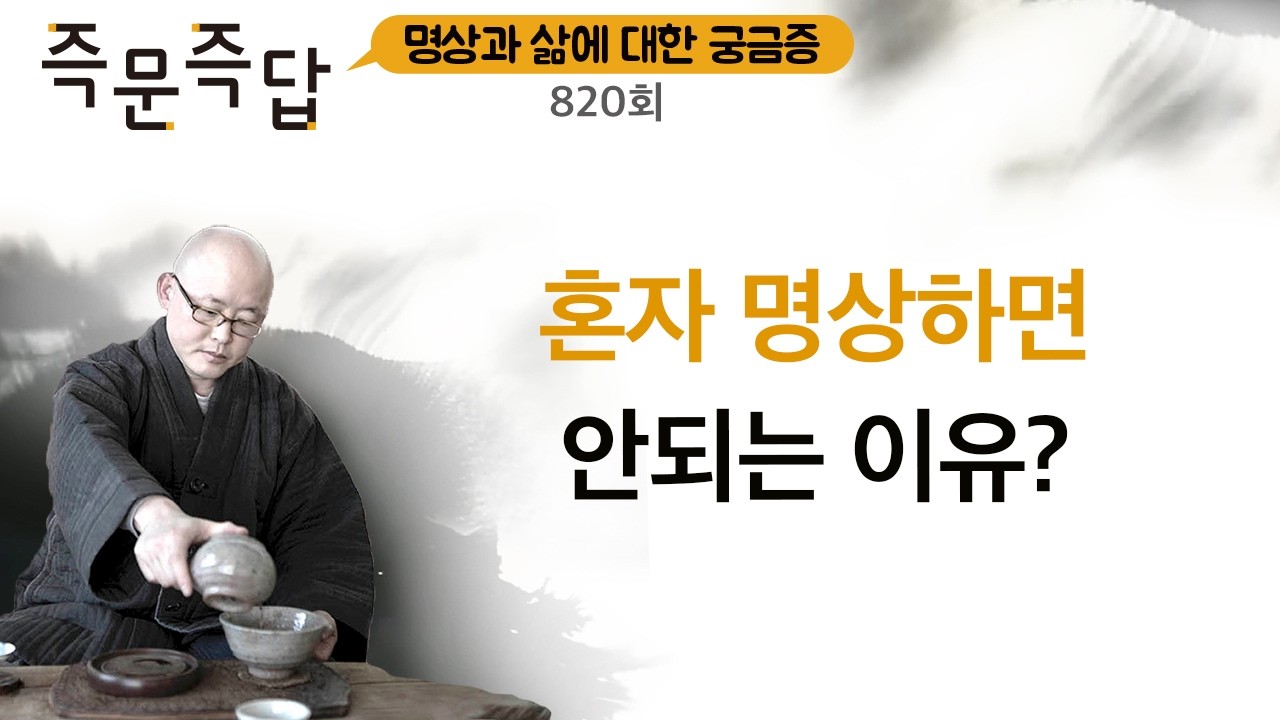 혼자 수행을 하면 잘못된 견해가 생길 수 있다.  질문 통해 교정을 받아야 한다 l 명상 즉문즉답 820회 ㅣ혜안스님