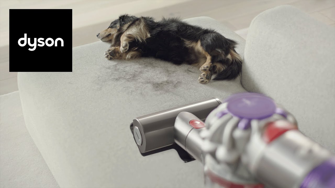 Dyson V8&trade; cordless vacuum | Powerful cleaning with low noise and hair de-tangling