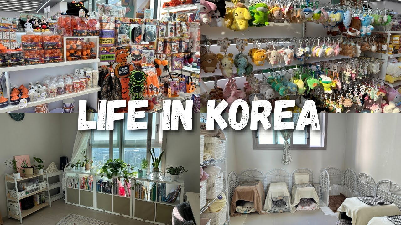 LIFE IN KOREA 🇰🇷 Daiso Shopping + Apartment Update 🛍️🏠