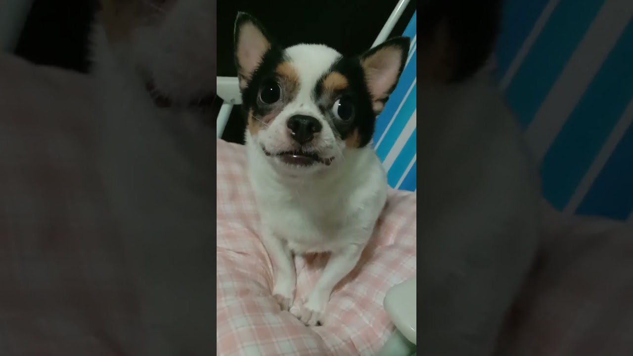 เกือบหลับแต่กลับมาไล่แม่ต่อได้
