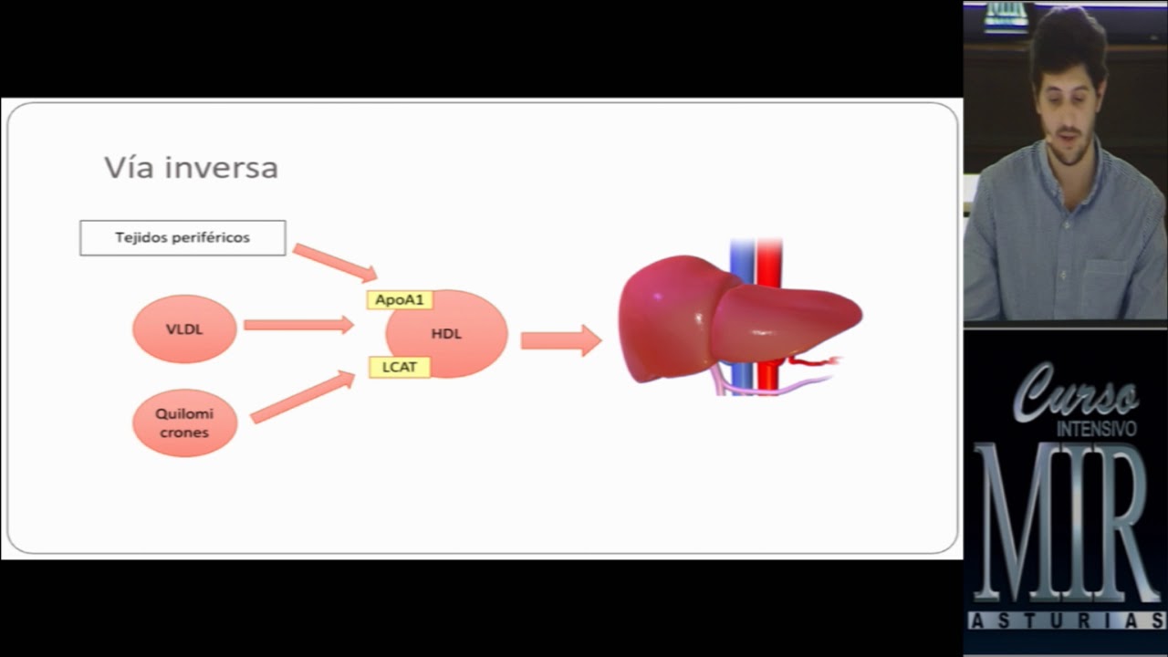 Lipoproteinas y dislipemias. Ignacio Blanco. Curso MIR 2018