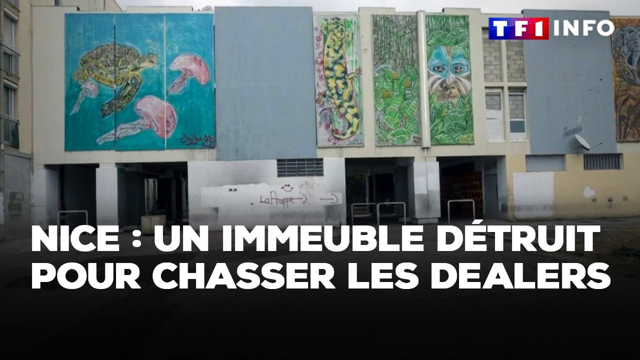Nice : plusieurs immeubles démolis pour lutter contre le trafic de drogue｜TF1 INFO