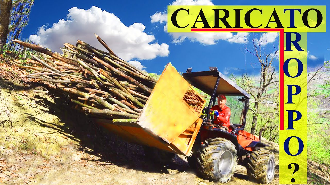 Carraro Tigretrac con pala idraulica a raccogliere legna! Usiamo la motosega a batteria Ryobi