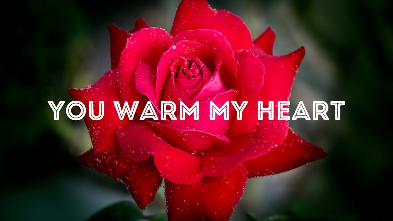 You Warm My Heart | I Am Grateful For You | Romantic Love Poem