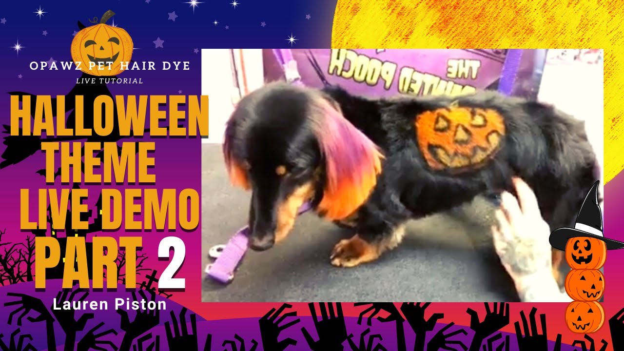 OPAWZ Halloween Theme Creative Dog Grooming Live Demo Part 2 By Lauren Piston