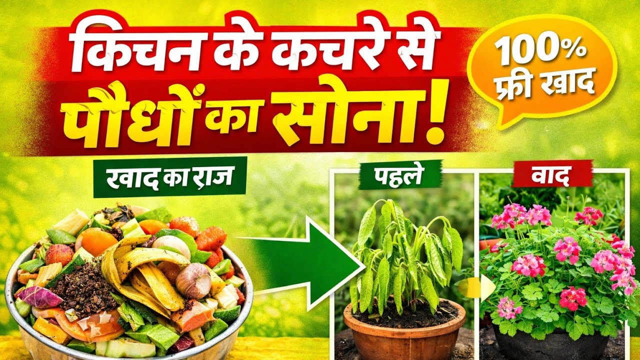 How To Make Compost From Kitchen Waste