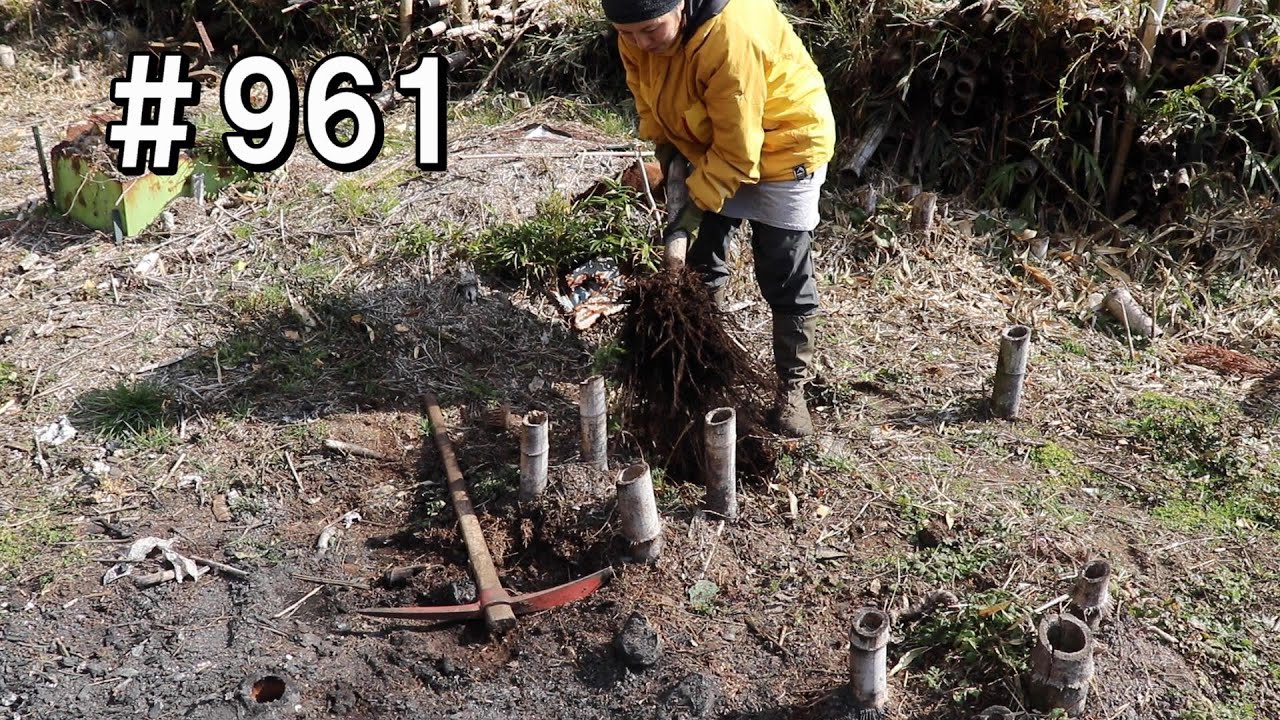 通路確保の竹株抜き｜蹴りでズボズボ抜いていくっ！！