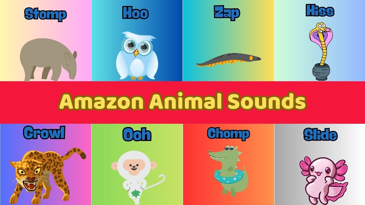 Amazon Animal Sounds Song N14T8 | Nursery Rhymes For Kids | Kids TV Education