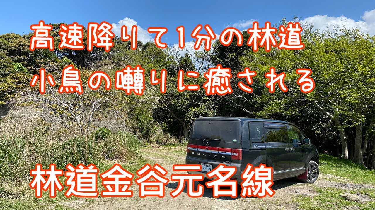 🌴デリカD5🌴 林道金谷元名線 高速降りて1分で着く至高のオフロード 都会の雑多を忘れる小鳥の囀り デリカD:5ジャスパー CV1W ノーマル前期型